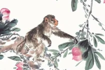 Tử vi tuần mới (16 - 22/12): 3 con giáp vượng phát, may mắn 