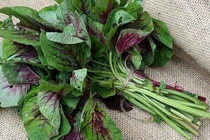 Lợi ích tuyệt vời của rau dền 