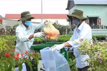 Dấu ấn sử dụng thuốc BVTV an toàn, hiệu quả toàn cầu