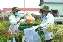 Dấu ấn sử dụng thuốc BVTV an toàn, hiệu quả toàn cầu