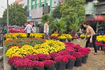 Điểm rác “chui” biến thành vườn hoa sẵn sàng đón Tết