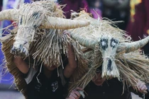 Độc đáo lễ hội “Trâu rơm bò rạ” tôn vinh văn hóa lúa nước