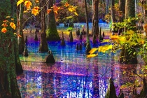 Mê đắm cảnh thần tiên ở “đầm lầy cầu vồng” đẹp nhất thế giới 