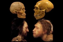 Người Neanderthal tuyệt chủng vì quan hệ tình cảm với... loài người? 