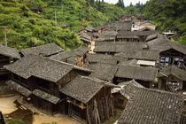 Bí ẩn ngôi làng 100 năm không có muỗi