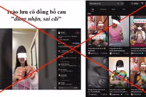 Nhiều nội dung xấu độc, TikTok bị kiểm tra trong 15 ngày