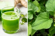 3 sai lầm cần tránh khi ăn rau diếp cá bạn nên biết