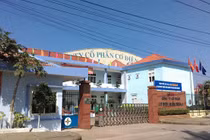 Cơ điện Miền Trung làm ăn sao trước khi bị phạt 150 triệu đồng?