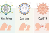 Xác định trẻ mắc adenovirus, không cần thiết xét nghiệm tại nhà