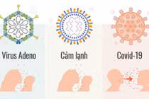 Xác định trẻ mắc adenovirus, không cần thiết xét nghiệm tại nhà