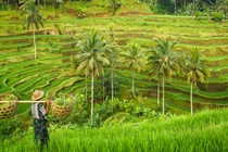 Cát Bà – khi một bộ phim có thể đổi đời một điểm đến