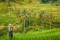 Cát Bà – khi một bộ phim có thể đổi đời một điểm đến