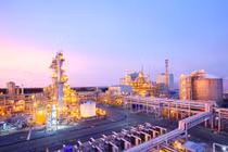 Phân bón Cà Mau được vinh danh Top 10 thương hiệu mạnh - Tăng trưởng xanh 2024 