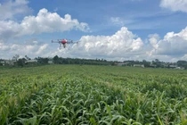 Cà phê Thuận An: Đưa máy bay không người lái áp dụng canh tác cà phê