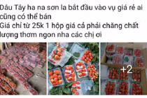 Vì sao dâu tây giá rẻ tràn ngập chợ?