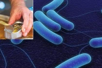 Nam thanh niên liệt tứ chi sau khi ăn pate đóng hộp bảo quản sai cách