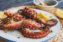 Lợi ích không ngờ của bạch tuộc đối với sức khỏe