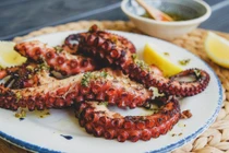 Lợi ích không ngờ của bạch tuộc đối với sức khỏe