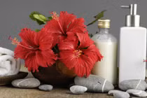 Công thức làm mặt nạ dưỡng tóc từ hoa dâm bụt 