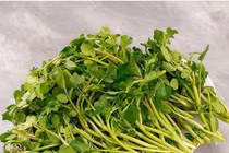 Loại rau được CDC Mỹ chấm 100 điểm về mật độ dinh dưỡng