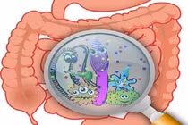 Ăn gì để loại bỏ ký sinh trùng đường ruột?