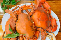 Bị zona có ăn được cua? 