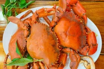 Bị zona có ăn được cua? 