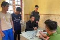 Đắk Lắk: Khởi tố 4 đối tượng trồng, mua bán cần sa lượng lớn