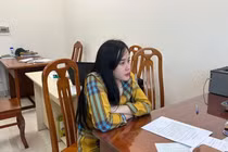 Tina Dương nộp 148 triệu đồng trước khi bị bắt