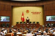 Quốc hội lấy ý kiến bổ sung nơi sinh vào hộ chiếu mới