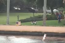 Chó robot được huy động tuần tra quanh dinh thự của ông Trump