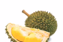 Sự thật sầu riêng chín cây bán trên chợ online