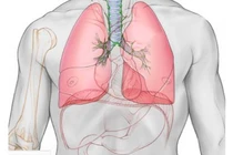 4 dấu hiệu cảnh báo sức khỏe của nam giới trung niên