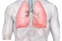 4 dấu hiệu cảnh báo sức khỏe của nam giới trung niên