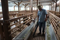 Anh nông dân nuôi dê bằng công nghệ tuần hoàn