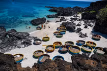 Khám phá đảo ngọc Lý Sơn