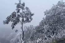 Băng tuyết trên đỉnh Mẫu Sơn: Du khách hào hứng, người dân chán ghét