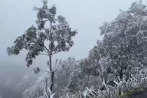 Băng tuyết trên đỉnh Mẫu Sơn: Du khách hào hứng, người dân chán ghét
