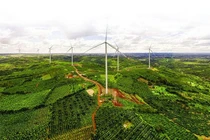  Đắk Nông triển khai bao nhiêu dự án nhà máy điện gió? 