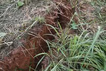 Sạt lở nguy cơ ảnh hưởng DA Kè sông Trường, tỉnh Quảng Nam chỉ đạo nóng