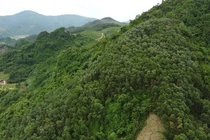 Hòa Bình chỉ đạo kiểm tra việc người dân phản ánh mất đất