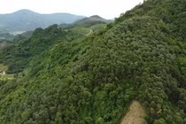 Hòa Bình chỉ đạo kiểm tra việc người dân phản ánh mất đất