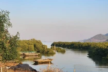 Sân golf Xuân Đám có tác động tiêu cực đến rừng ngập mặn?