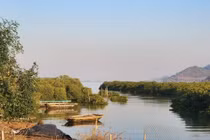 Sân golf Xuân Đám có tác động tiêu cực đến rừng ngập mặn?