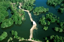 Khám phá Cần Giờ, "lá phổi xanh" của TP HCM