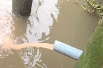 Công ty TNHH YIDO VINA vi phạm môi trường thế nào?