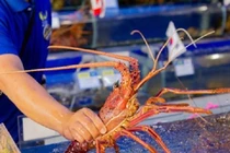 “Dở khóc dở cười” vì mua hải sản online