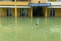 Nước dâng cao, thầy hiệu trưởng bơi vào trường kiểm tra cơ sở vật chất