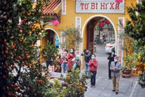 Những ngôi chùa có xá lợi nổi tiếng nhất Việt Nam