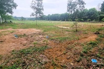 Đồng Nai sẽ thu hồi 3.700 ha đất nông nghiệp để làm dự án